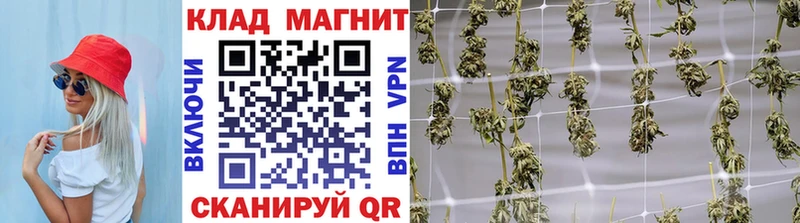 Магазины продажи наркотиков Россошь АМФЕТАМИН  Псилоцибиновые грибы  МЕФ 