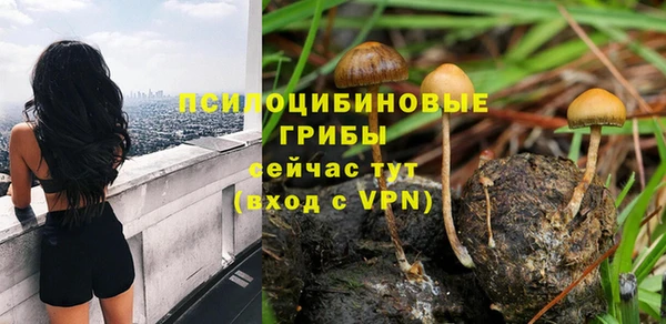 не бодяженный Арсеньев
