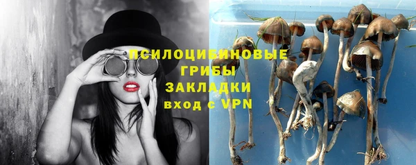 стаф Армянск