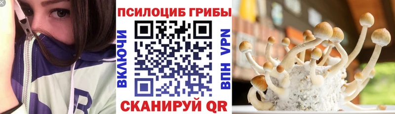 Псилоцибиновые грибы Magic Shrooms  Россошь 