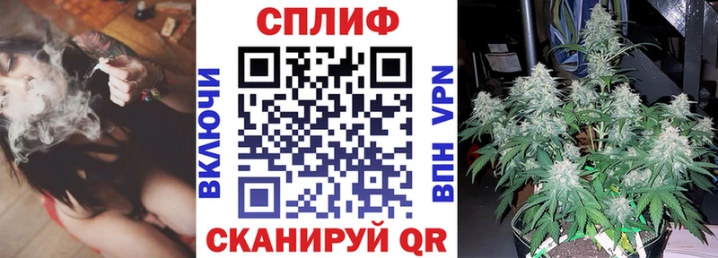 Шишки марихуана THC 21%  магазин продажи наркотиков  сайты даркнета клад  Россошь 